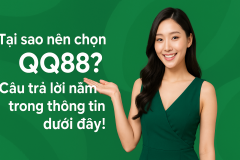 Lý do nên chọn QQ88 ngay hôm nay